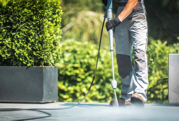 Best Solar Panel Cleaning  in Sanger, TX