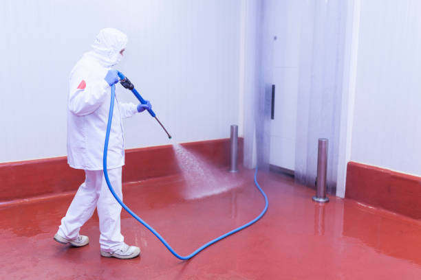Best Building Exterior Washing  in Sanger, TX